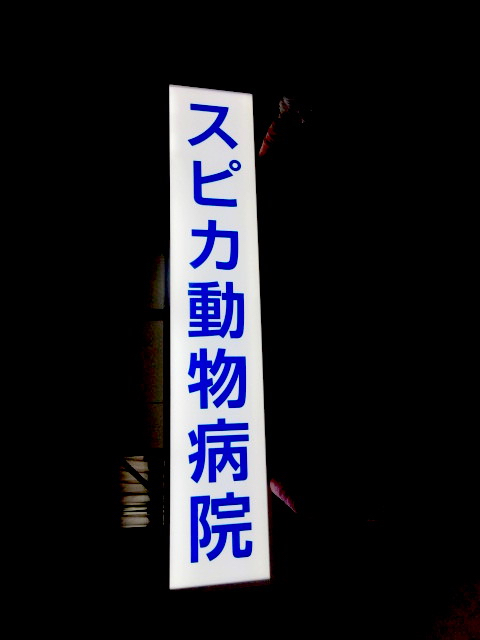 動物病院の看板製作①  袖看板・突出看板